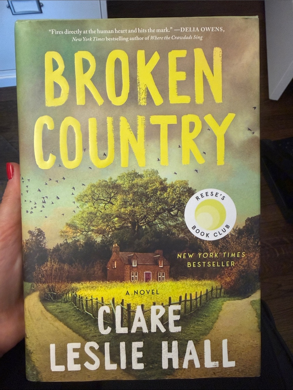 Clare Leslie Hall "Broken Country" Hardcover Book - Yellow/Green Cover